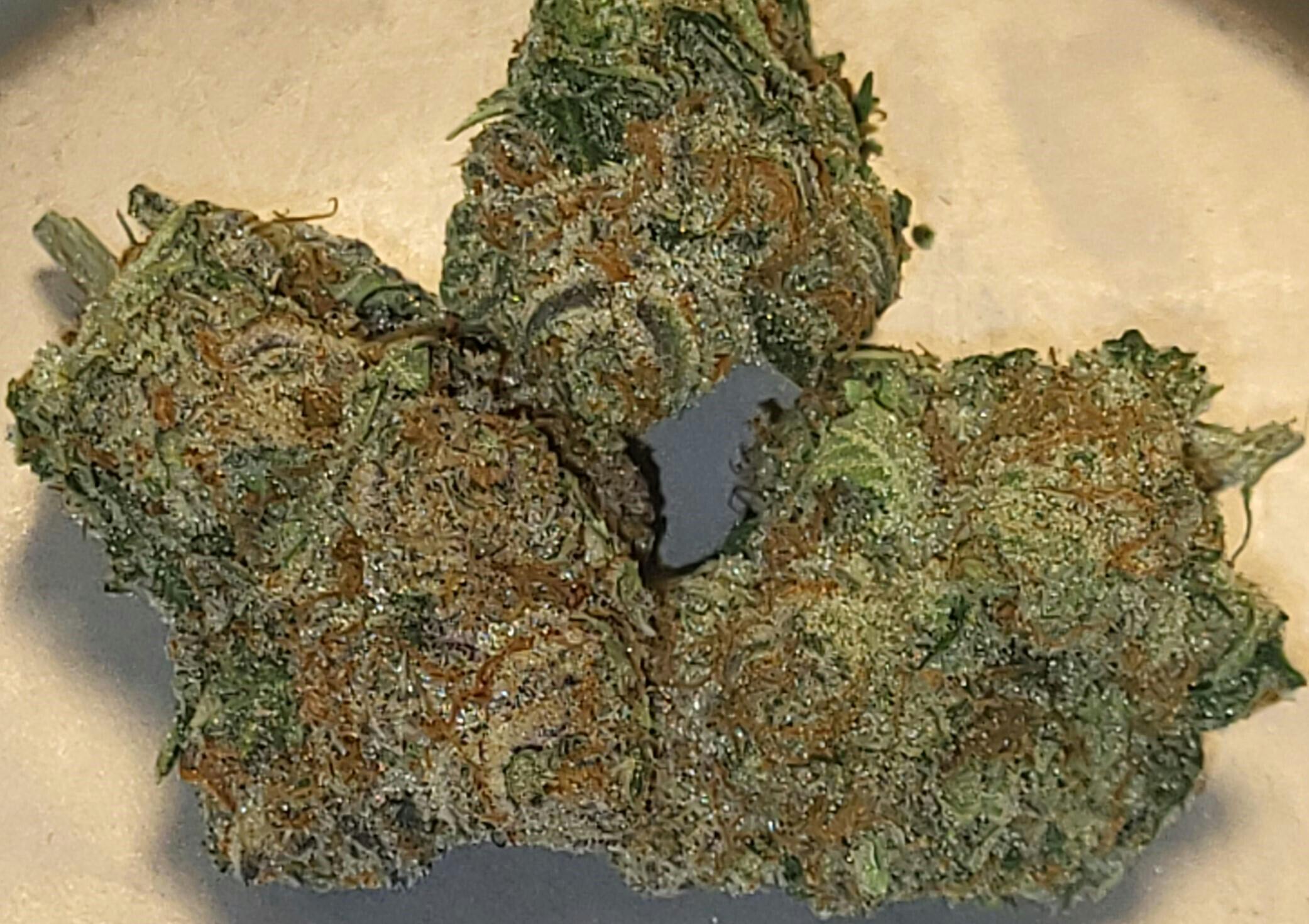 REC - Mimosa