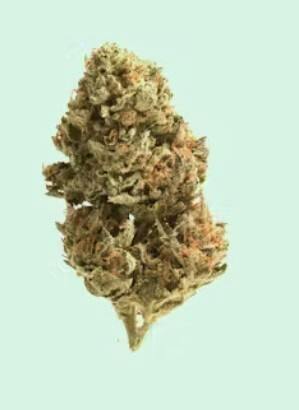 REC - Tropicana Banana