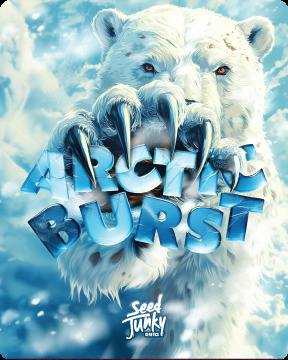 Seed Junky - Bulk Flower Buds - Arctic Burst (Sativa)