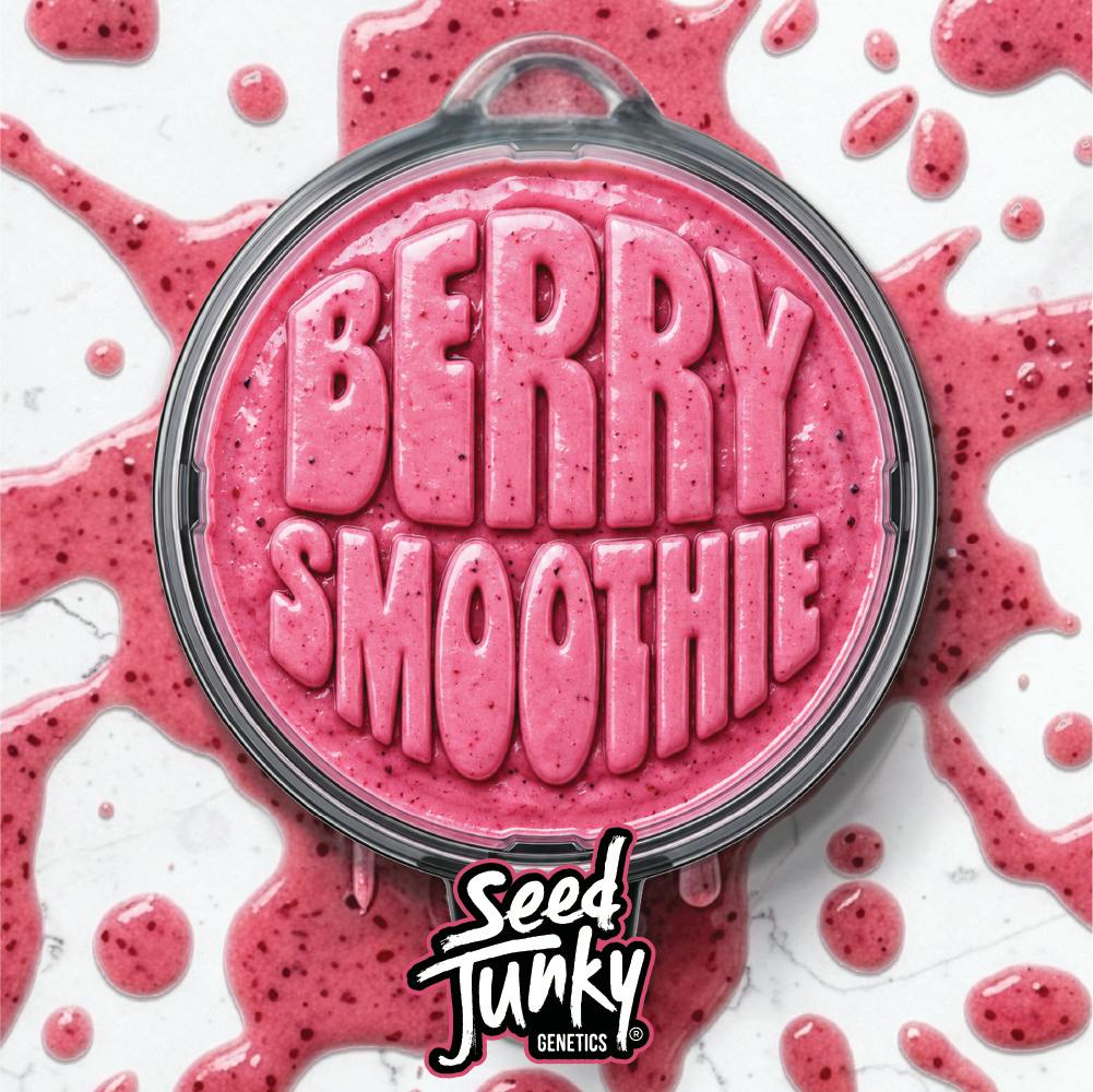 Seed Junky - Bulk Flower - Berry Smoothie (Hybrid)