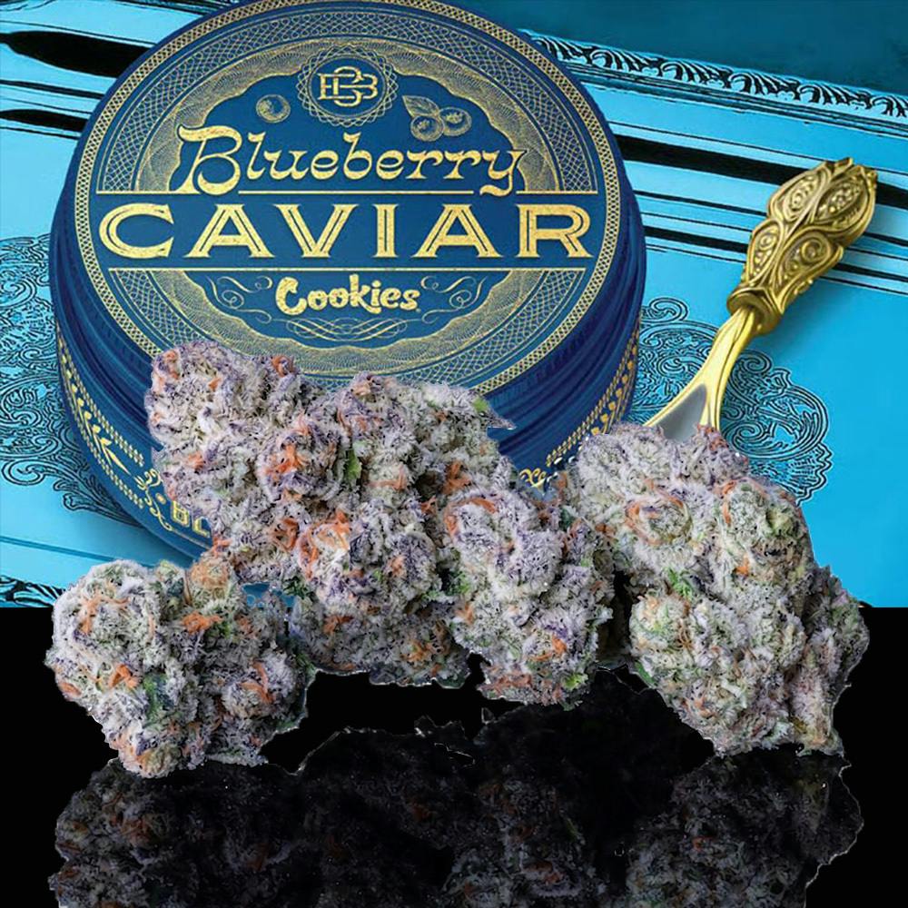 Cookies - Bulk Flower - Blueberry Caviar (Sativa)