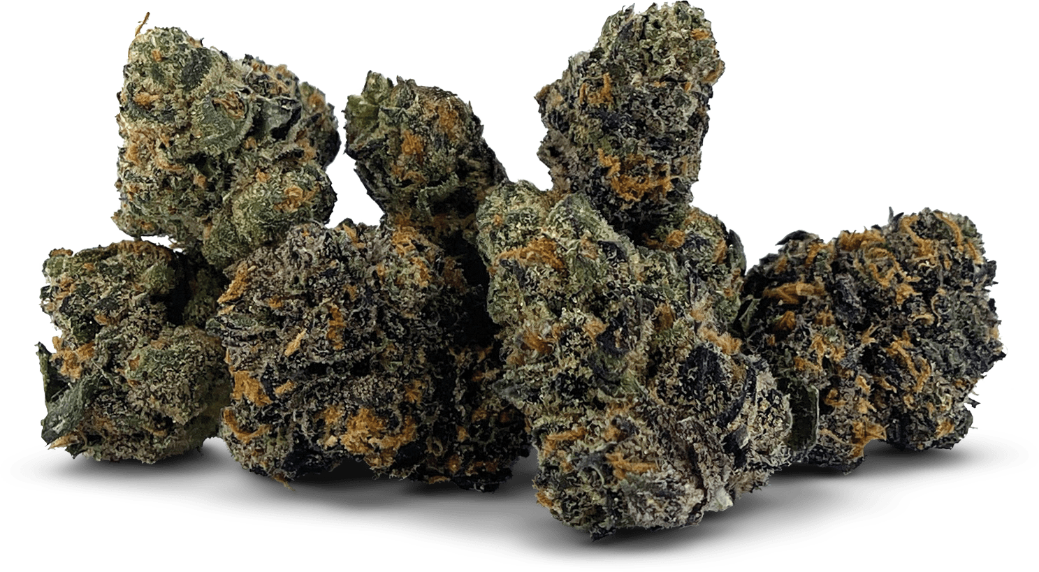 LAB LEAK SMALLS - 3.5