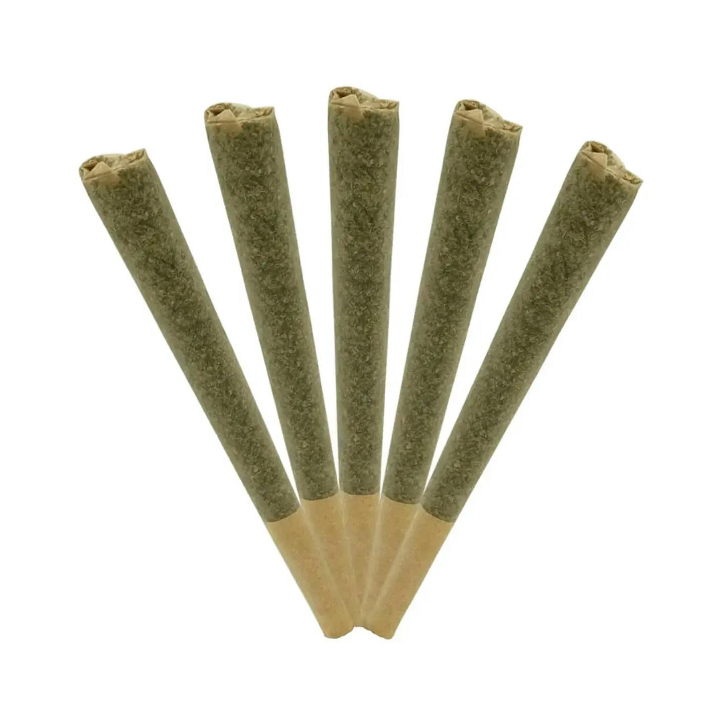 GIDDY UP SATIVA PRE-ROLLS - 2.5