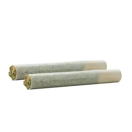 GUAVA BISCOTTI PRE-ROLLS LTO - 2