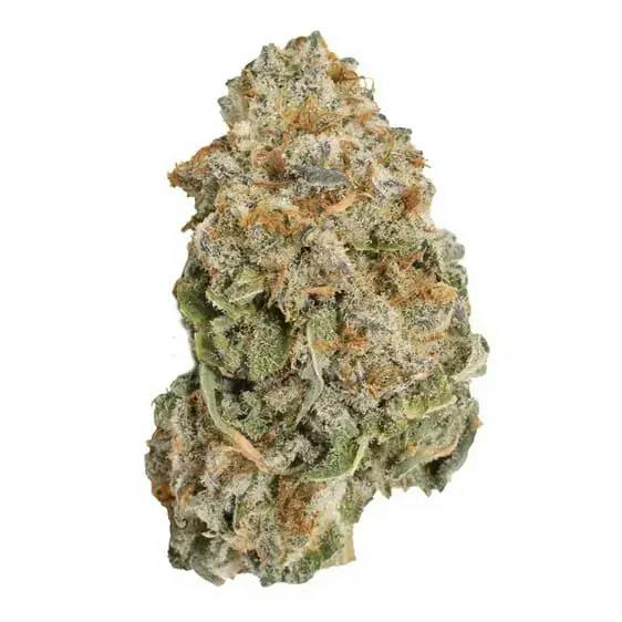 RIPPED INDICA DRIED FLOWER - 1