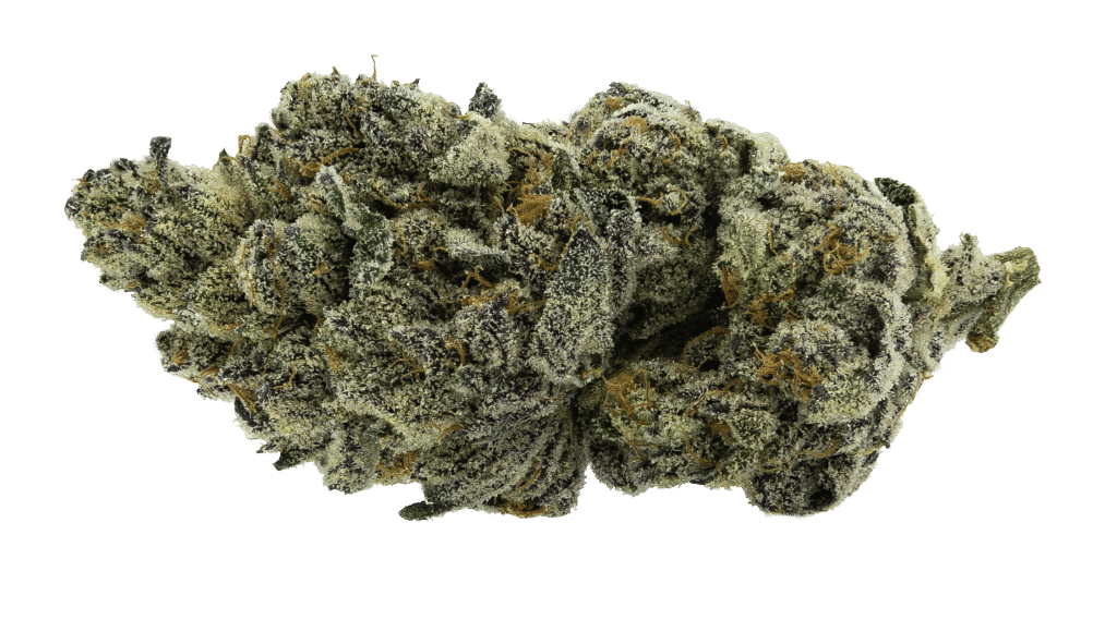 BLUEBERRY SHIZZLE - 28