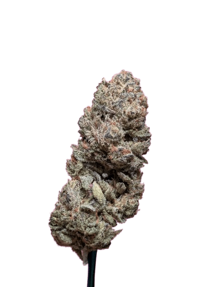 PURPLE TRUFFLE - 7g