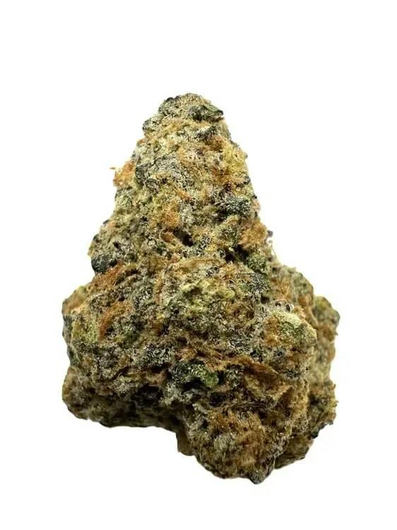 Gastro Pop premium Smalls 3.5g - Amani Craft