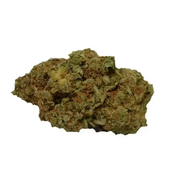 RIPPED HYBRID DRIED FLOWER - 1