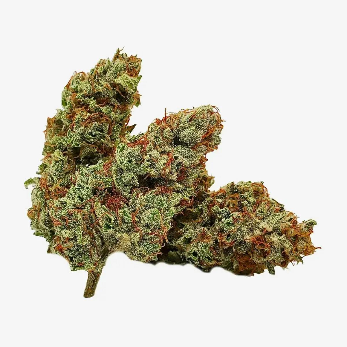 ORGANIC MANGO GOLD - 28
