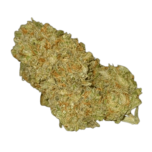 ROMULAN SMALLS - 7