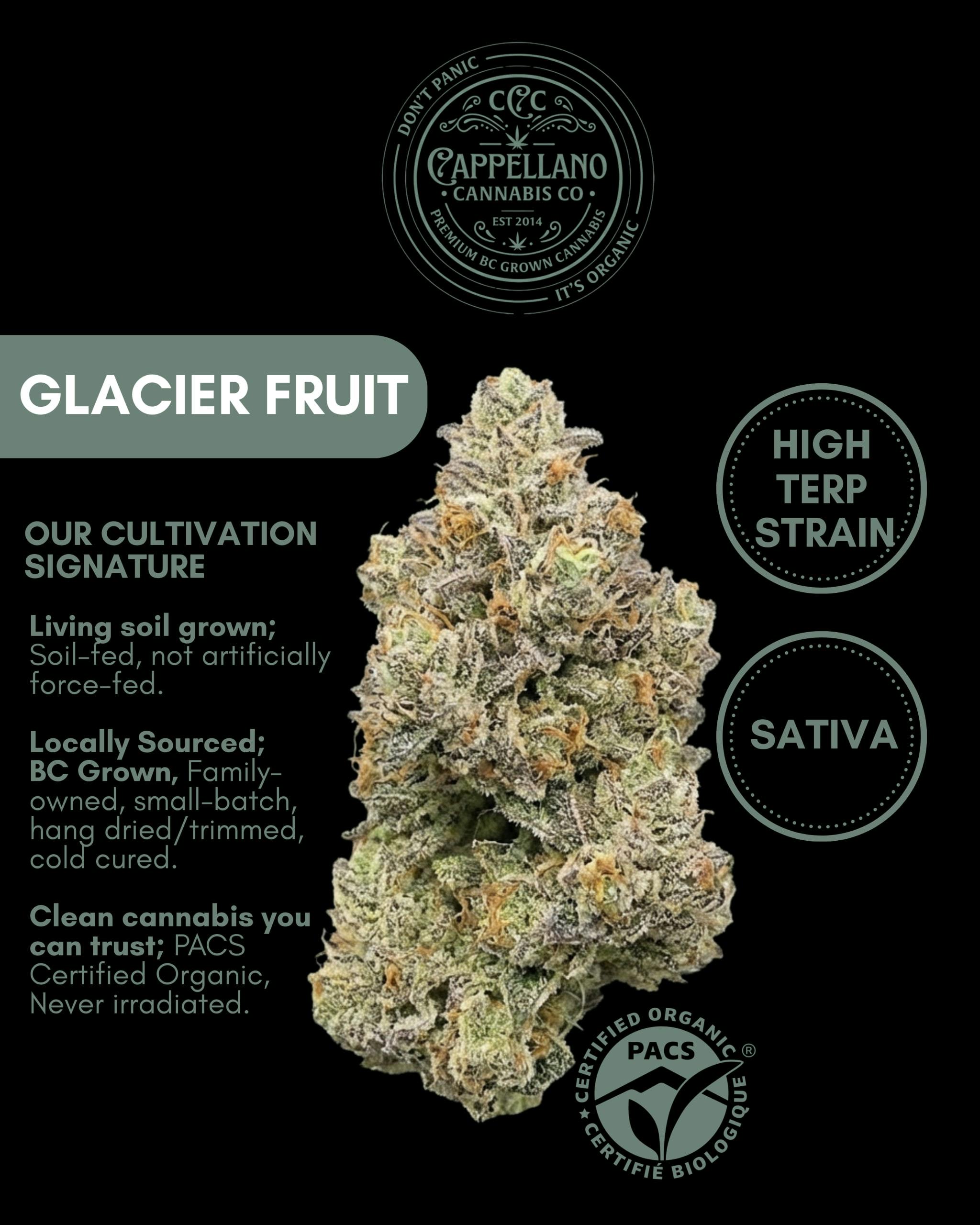 LSO Glacier Fruit (Juicy Fruit x Tangerine Dream) 3.5 smalls - Cappellano