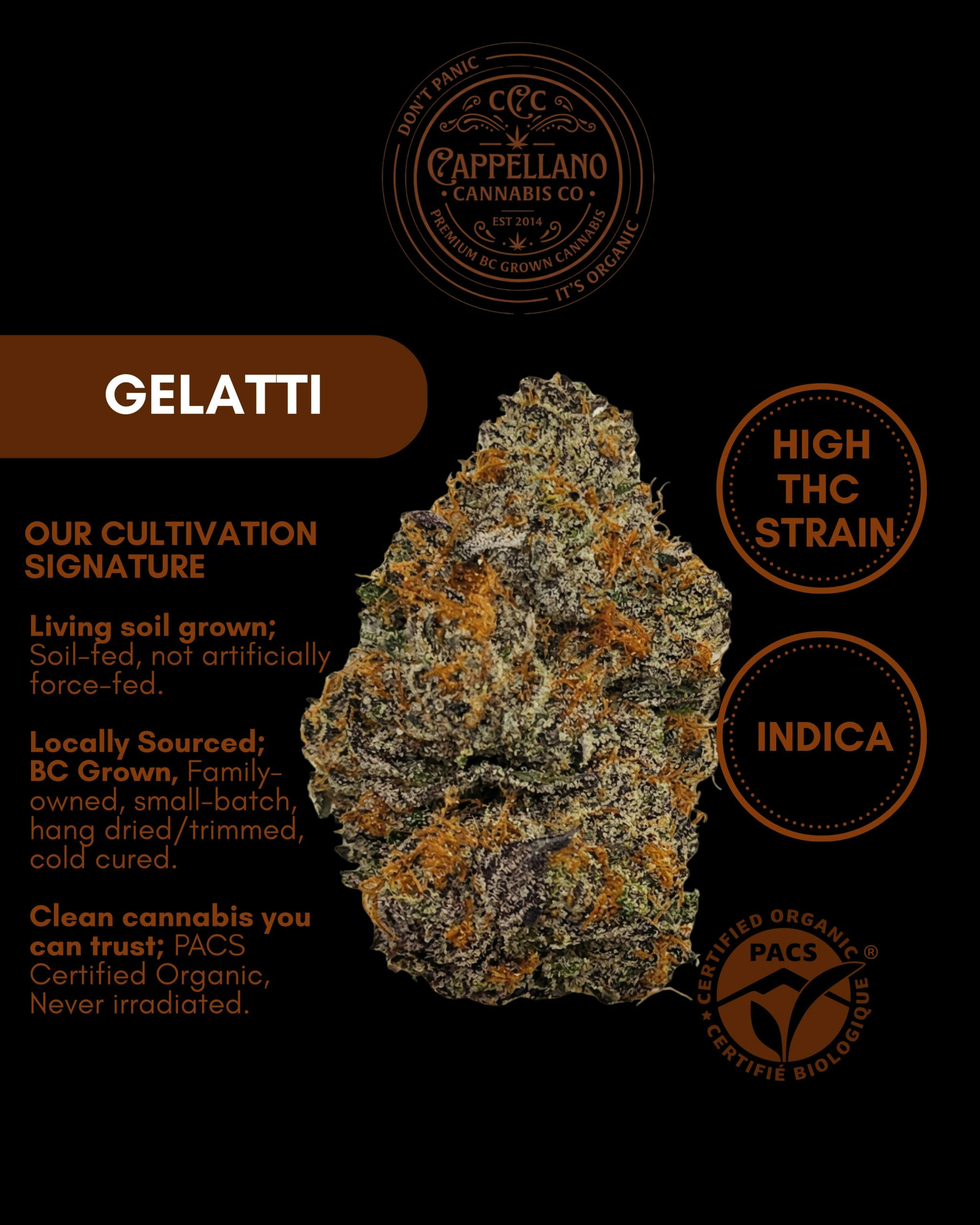 Organic Gelatti 14g (Gelato 33 x Biscotti) - Cappellano
