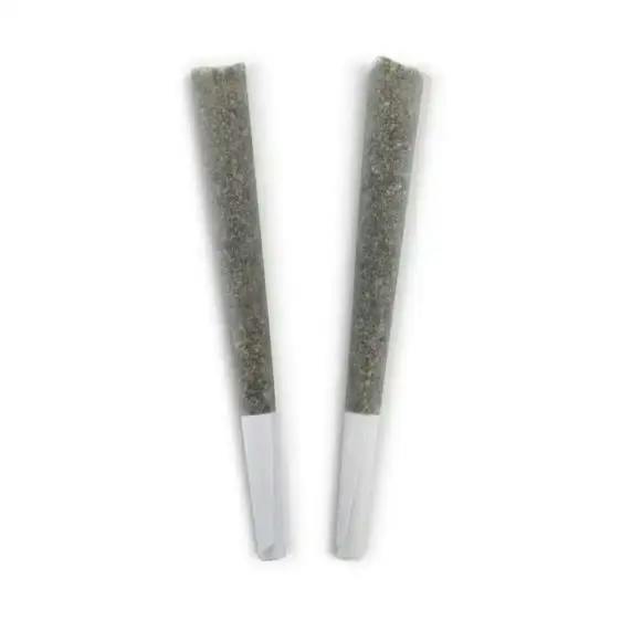 HONEY BEAR PRE-ROLLS - 2