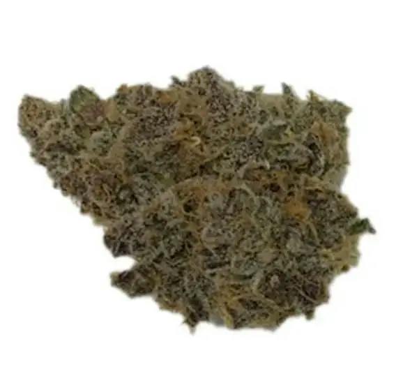 LEMONADE GUSHERS - 3.5
