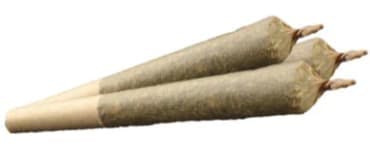BLACK MOUNTAIN SIDE PRE_ROLLS - 1.5