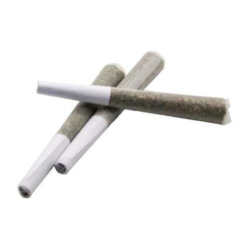 GAS PEDAL PRE-ROLLS - 1.5