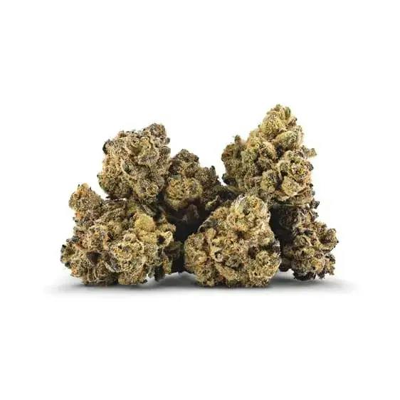 TRASH PANDA SMALLS - 3.5
