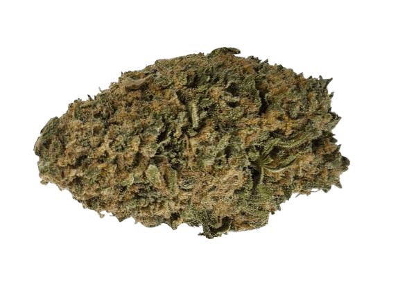 LILLOOET GOLD 28g