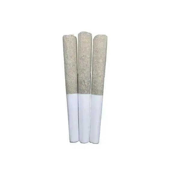 BERMUDA TRIANGLE PR 3 x 0.5g