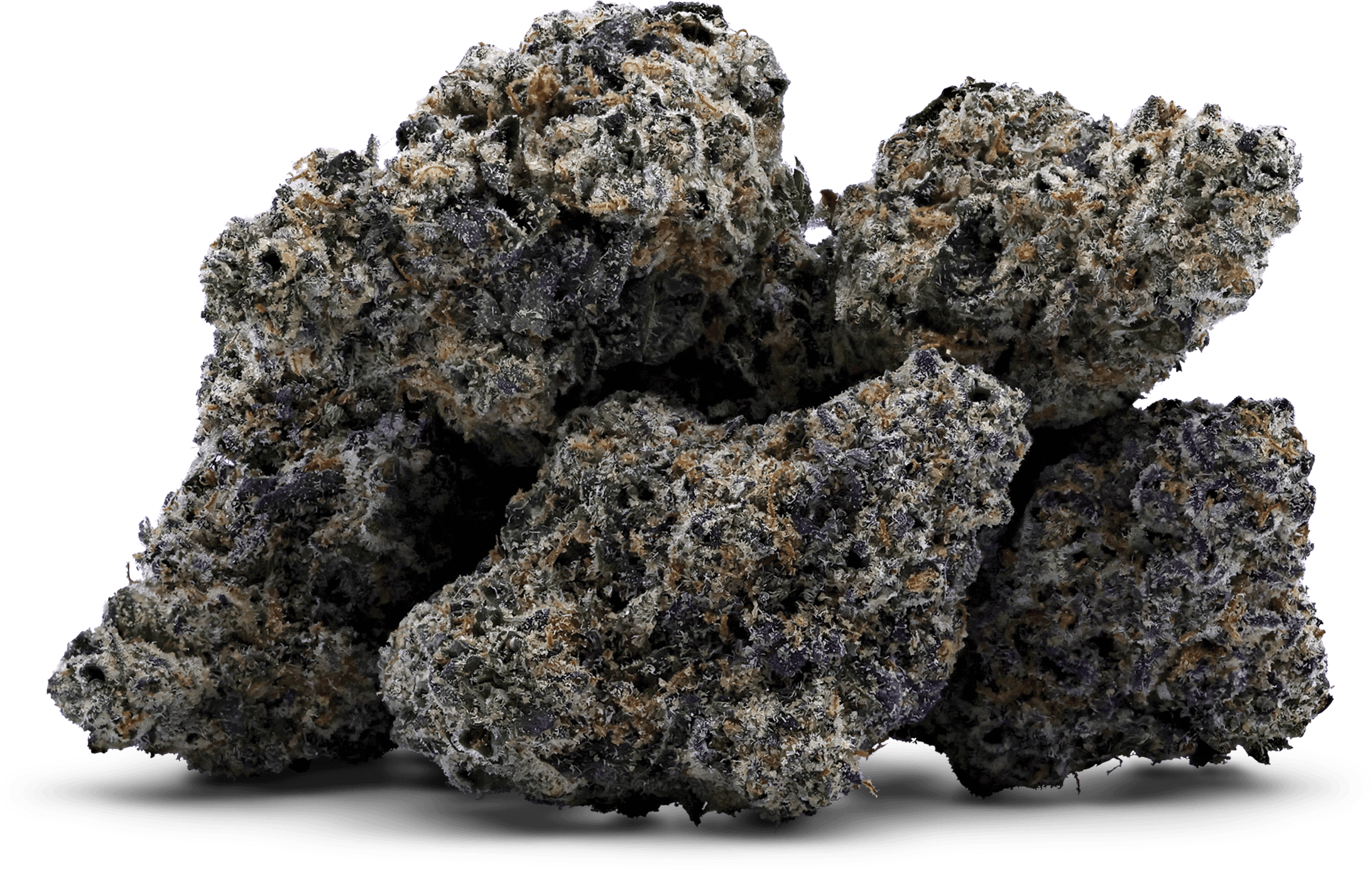JAMAICAN DREAM - 3.5