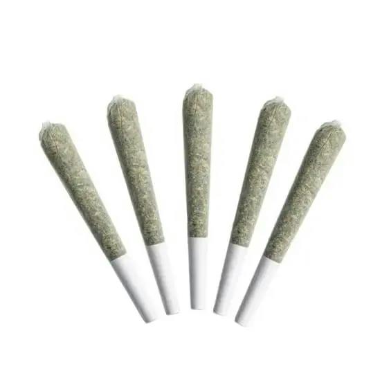 ACAPULCO GOLD PRE-ROLLS - 2.5