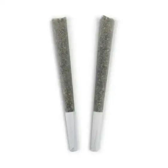 GOJI BIKER PRE-ROLLS - 2