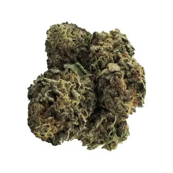 CHERRY PUNCH DRIED FLOWER - 28