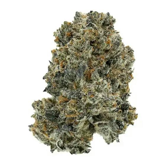 GMO X F.P.O.G - 28