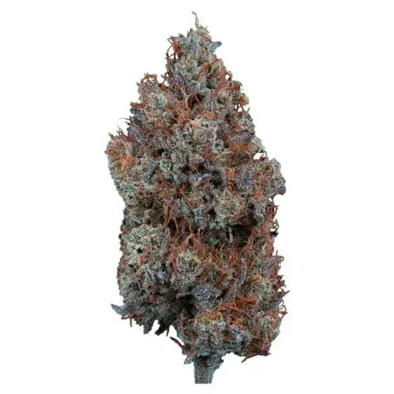 MYSTIC MOUNTAIN 1.5:1 FLOWER - 3.5