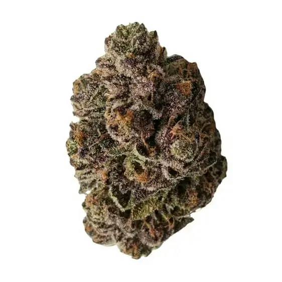 ORGANIC NONNA RED - 3.5