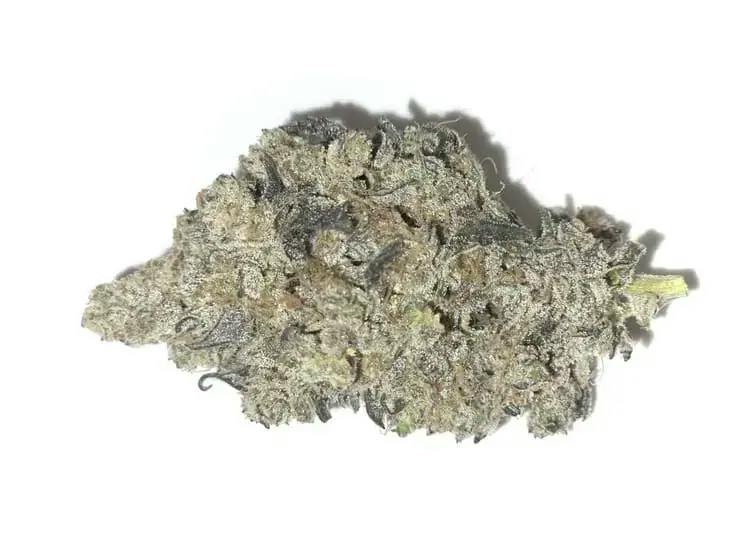 PLATINUM KUSH - 14
