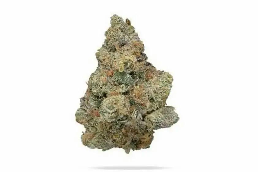 GMO X MK ULTRA - 7