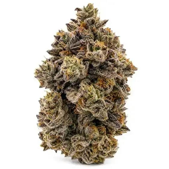 PEANUT BUTTER ROCKSTAR LTO - 28