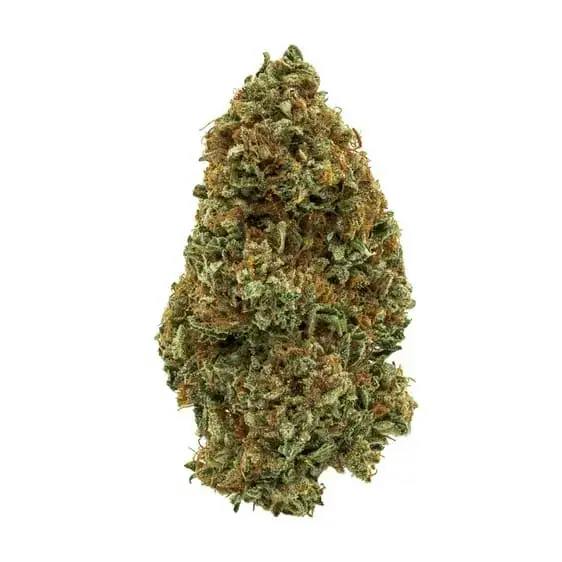 SOUR CONGO - 7