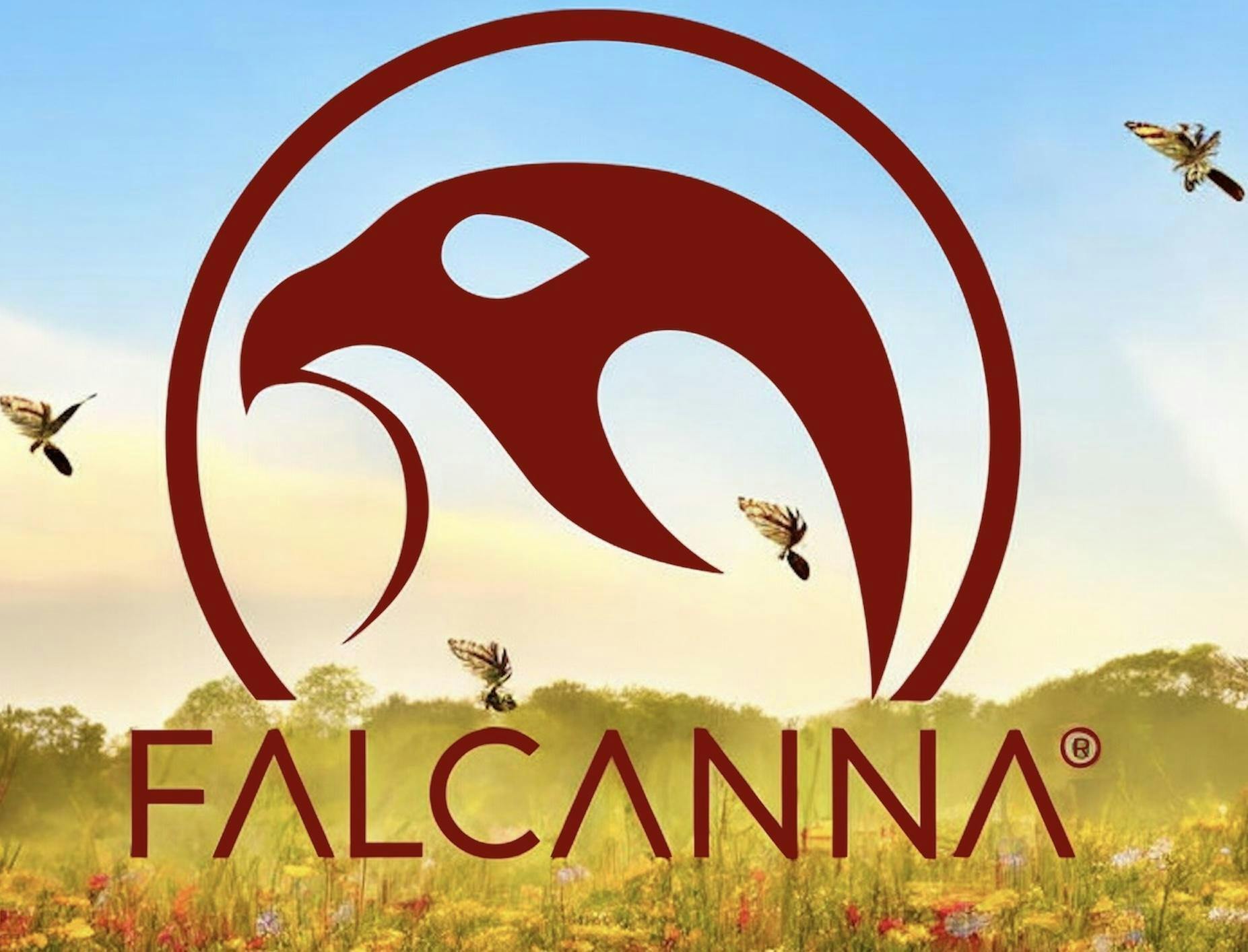 FALCANNA - 28pk - 1g - PreRolls - Pineapples in Space | Hybrid