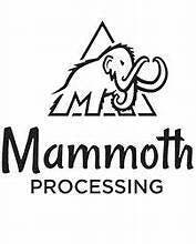 Mammoth Rso Platium Garlic Breath