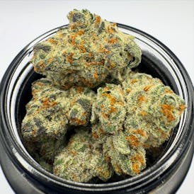 iion - Flower - Purple Sox- (M)