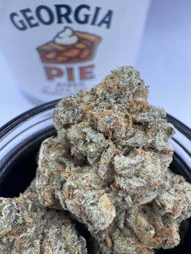 Elevations - Flower - Georgia Pie