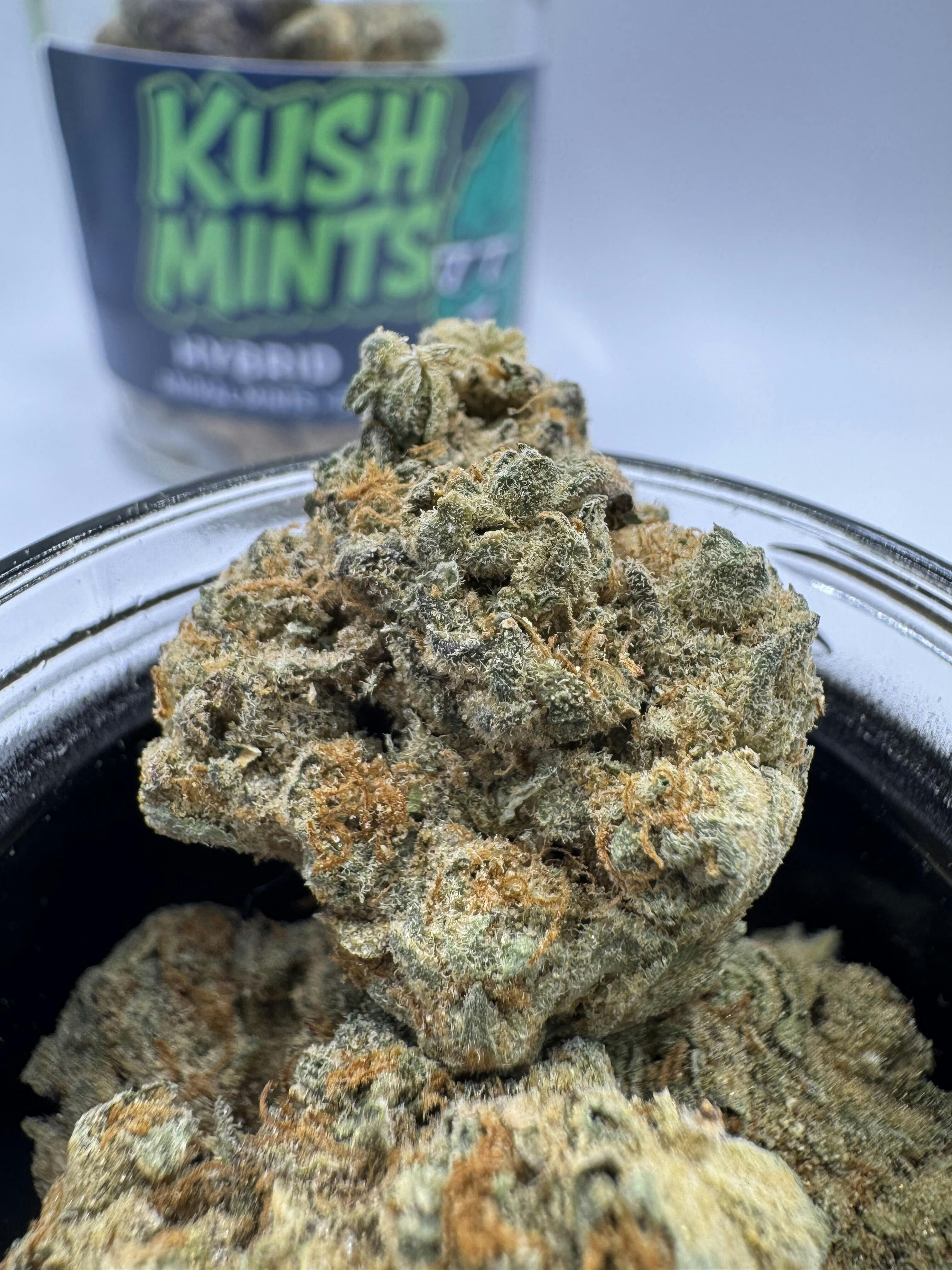 Elevations - Flower - Jungle Pie (r)