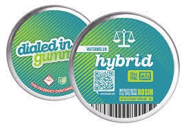 Dialed In - 100mg Hybrid Gummies - Hula Berry (r)