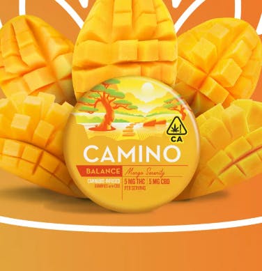 Kiva - Camino - Mango Serenity CBD 1:1 - 100mg