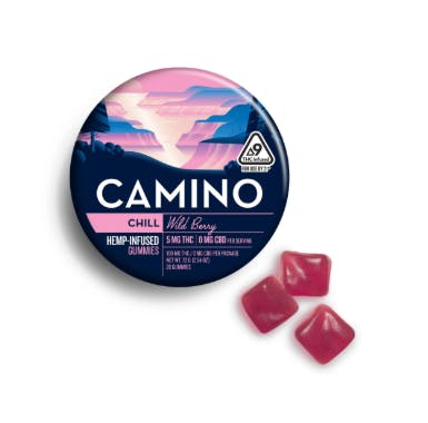 Kiva - Camino - Wild Berry - 100mg