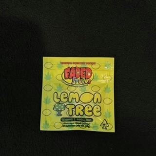 Faded Fruits GUMMIES