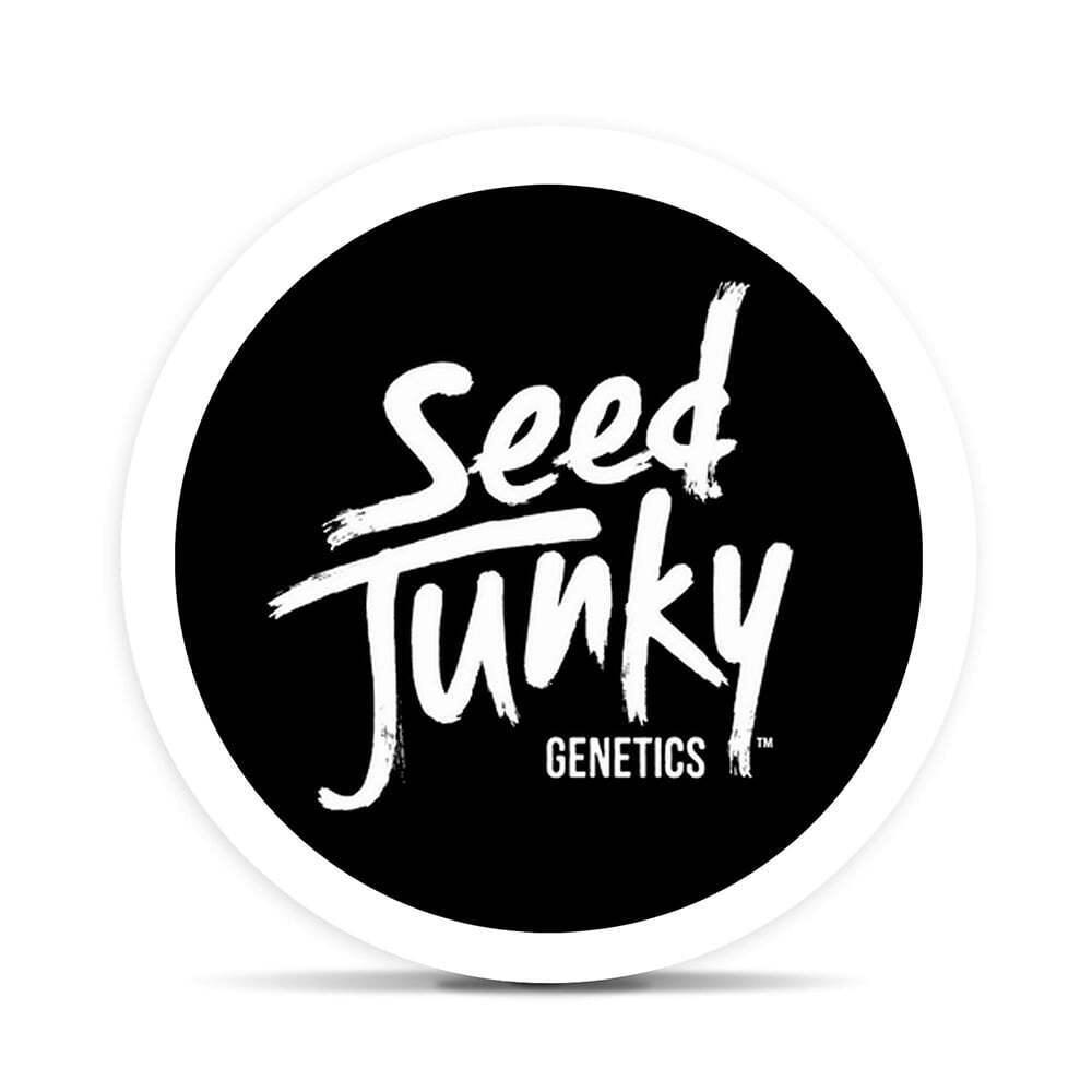 Bubblegum Sherb [3g] | Seed Junky Genetics - 5 Pack Pre Roll