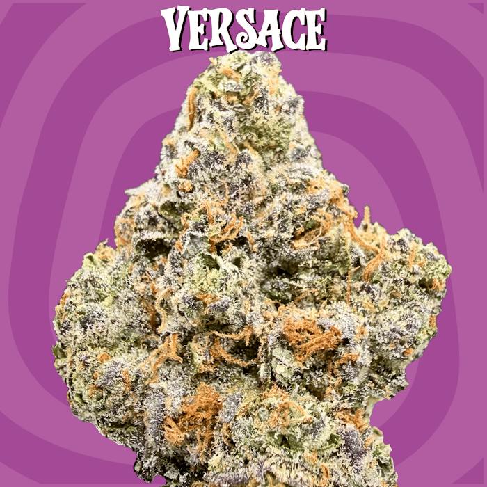 6 Star - Versace - 1.75g Indoor - 1.75g - Hybrid