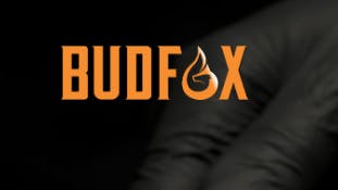 Bud Fox Lemonage A Trois