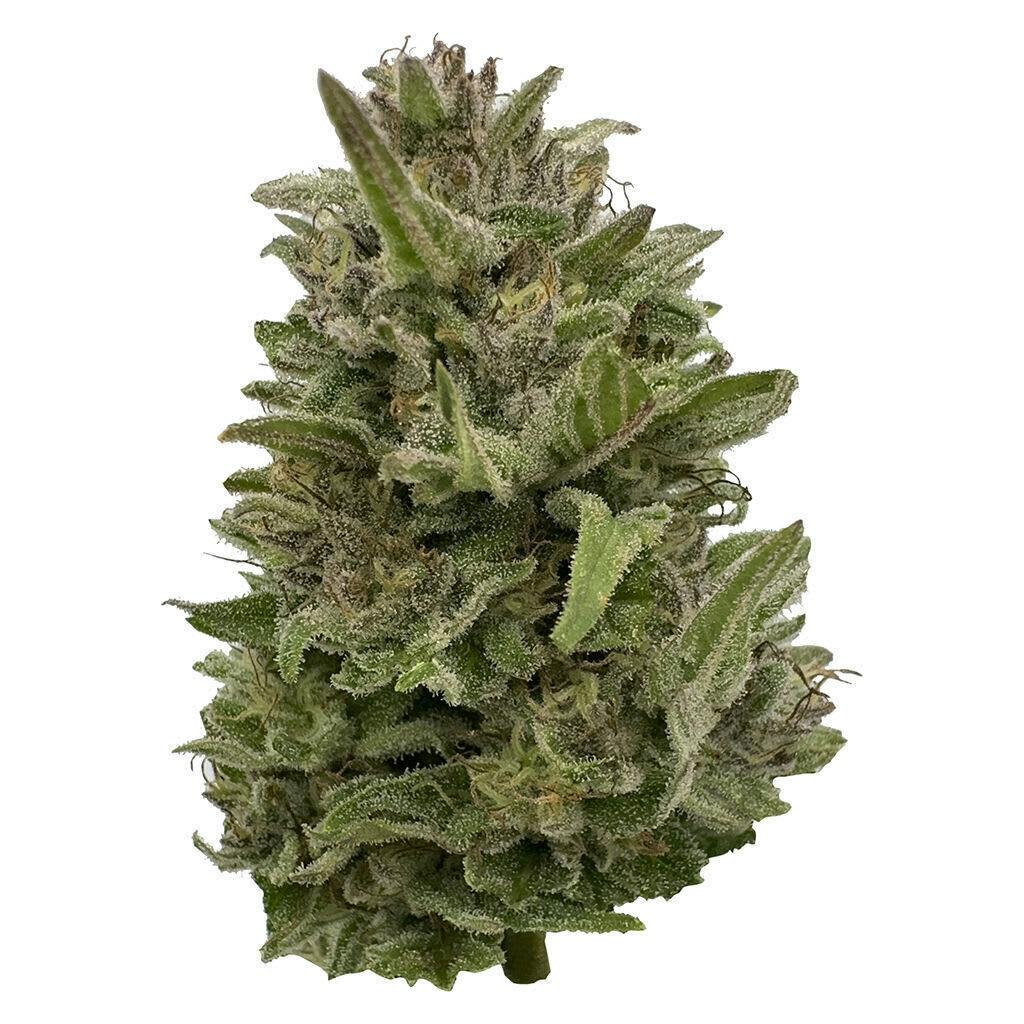 Pretty Chill Indica 28g Dried Flower