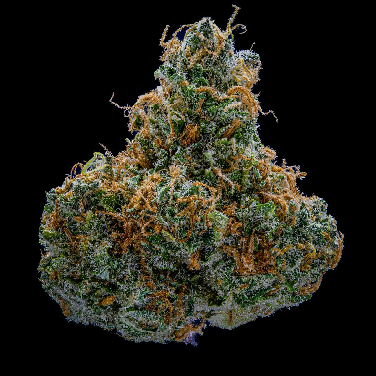 NoBo Flower 14g - Blockberry