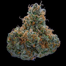 NoBo Flower 14g - Blockberry